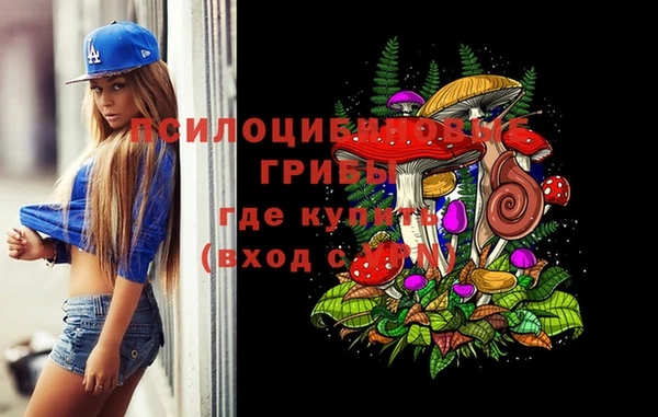 прущая мука Кодинск