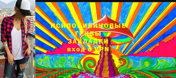 mix Козельск