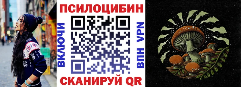 Галлюциногенные грибы Cubensis  Кинешма 